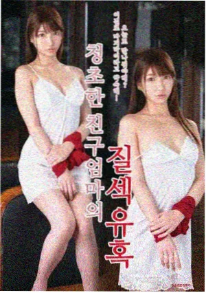 深夜动画档番剧封面